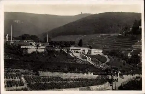 Ak Neustadt an der Weinstraße, Terrasse Dr. Welsch, Blick auf Weinberge