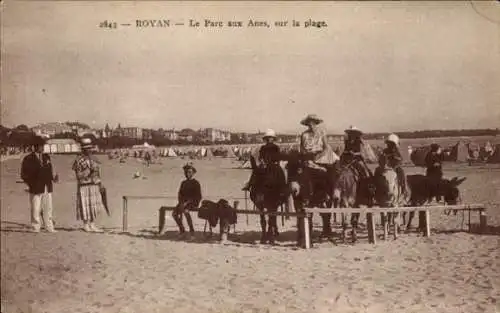 Ak Royan Charente Maritime, Parc aux Anes, Strand, Esel