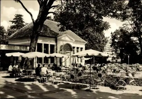 Ak Dessau in Sachsen Anhalt, Gaststätte Teehäuschen, Terrasse