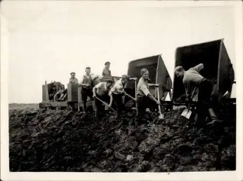 Foto Moorkippe beim Straßenbau nach Neuenburg, Ostfriesland 1935, Teufelsmoor