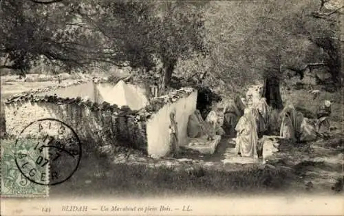 Ak Blida Algerien, ein Marabout im Wald