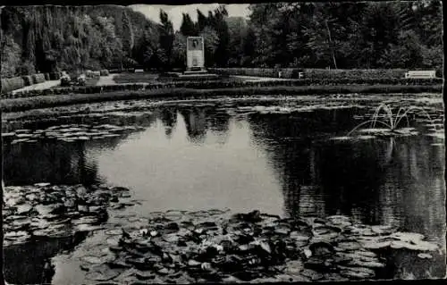 Ak Hamburg Wandsbek Rahlstedt, Liliencron-Park