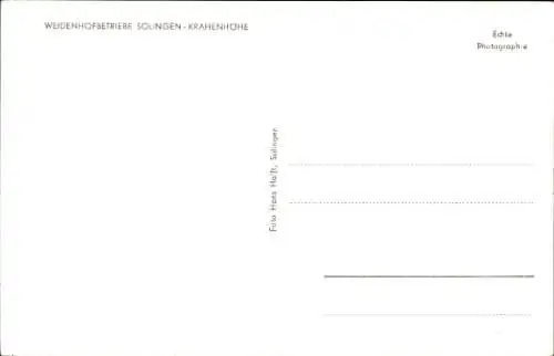 Ak Krahenhöhe Solingen im Bergischen Land, Weidenhofbetrieb, Gastraum