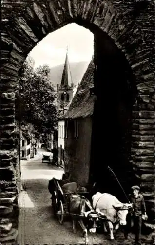 Ak Bacharach am Rhein, Steeger Tor, Ochsenkarren