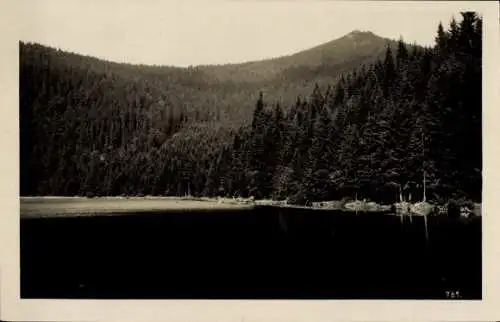 Foto Ak Bayerisch Eisenstein in Niederbayern, Arbersee