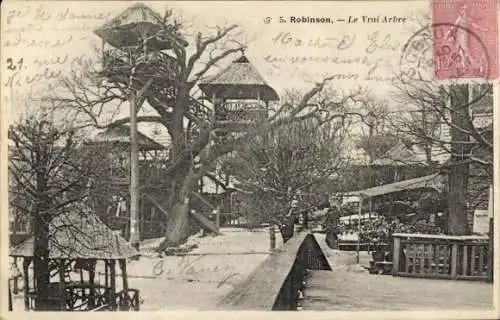 Ak Robinson Hauts de Seine, Echter Baum