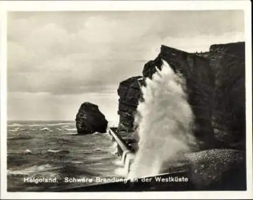 Set von 12 Ak Kleinphotos Nordseeinsel Helgoland