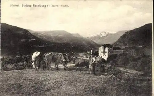 Set von 10 Ak Bozen Bolzano Südtirol