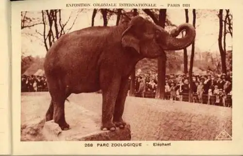 kleines Album 24 AK exposition coloniale internationale paris 1931 Parc Zoologique