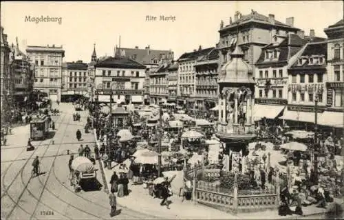 Ak Magdeburg an der Elbe, Alte Markt, Tram