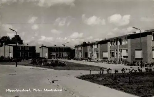 Ak Hyppolitushoef Hippolytushoef Wieringen Nordholland Niederlande, Pieter Maatsstraat