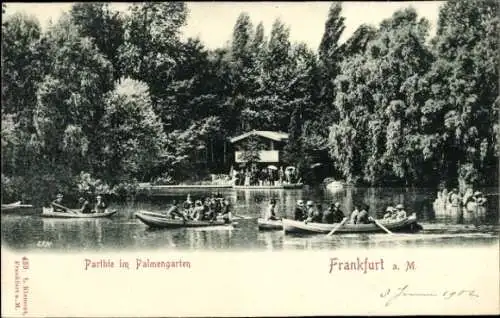 Ak Frankfurt am Main, Palmengarten, Teich, Ruderboote