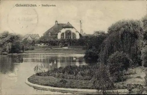 Ak Gelsenkirchen im Ruhrgebiet, Stadtgarten, Schwäne