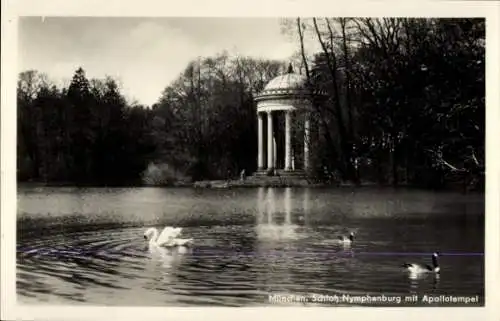 Ak München, Schloss Nymphenburg, Apollotempel, Schwäne