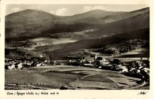 Ak Lam im Bayerischen Wald Oberpfalz, Panorama, Arber