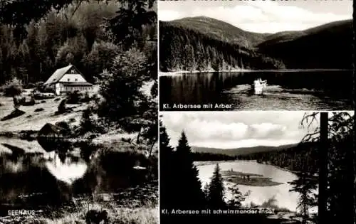 Ak Bayerisch Eisenstein in Niederbayern, Großer Arber, Kleiner Arbersee, Schwimmende Insel, Seehaus