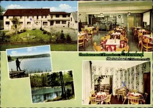 Ak Steinebach im Westerwald, Restaurant Pension Erlenhof