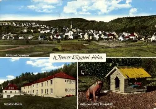 Ak Oberlahr an der Wied Westerwald, Gesamtansicht, Werner Ruppert-Heim, Schullandheim, Hund