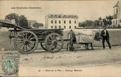 Ak Pau Pyrénées-Atlantiques, Attelage Bearnais