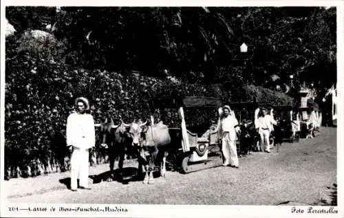 Ak Funchal Insel Madeira Portugal, Carro de Bois