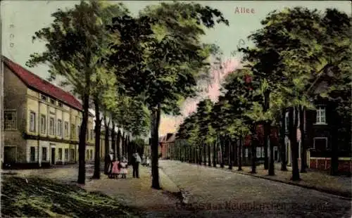 Ak Neuenkirchen im Münsterland Kreis Steinfurt, Allee