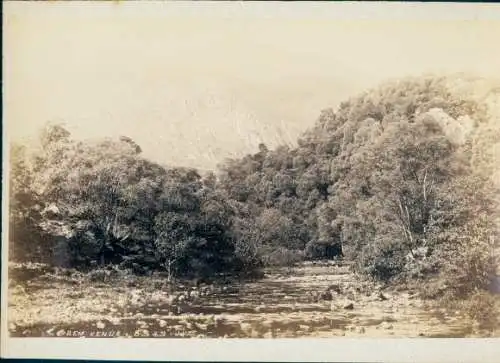 Kabinett Foto Schottland, Trossachs, Ben Venue, 1894