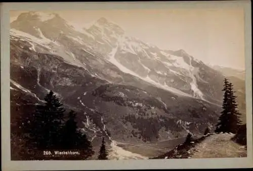 Kabinett Foto Salzburg, Blick zum Wiesbachhorn, 1895