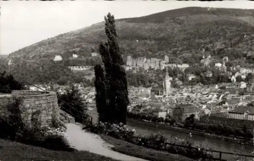 Ak Heidelberg am Neckar, Totalansicht