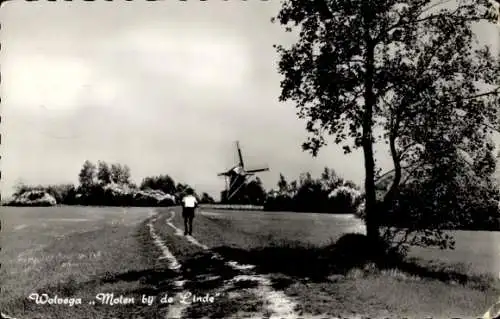 Ak Wolvega Fryslân Niederlande, Mühle an der Linde