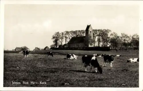 Ak Jelsum Fryslân Niederlande, Ned. Rev. Kirche, Kuhe