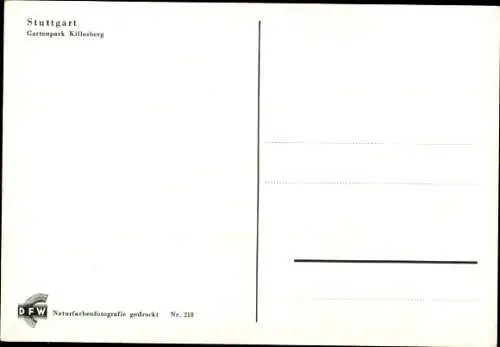 Ak Stuttgart in Württemberg, Gartenpark Killesberg, Blumen