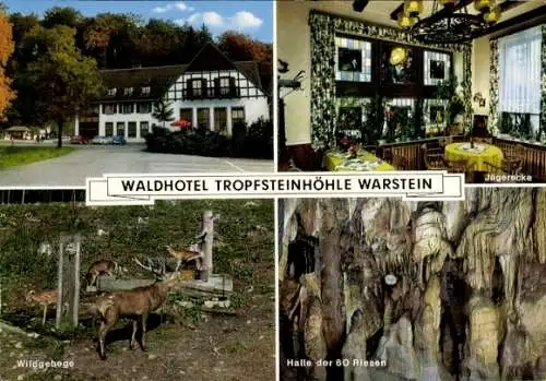 Ak Warstein im Sauerland, Waldhotel Tropfsteinhöhle, Wildgehege, Halle der 60 Riesen, Jägerecke