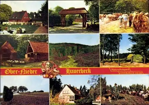 Ak Niederhaverbeck Haverbeck Bispingen Lüneburger Heide, Ansichten Naturschutzpark Lüneburger Heide