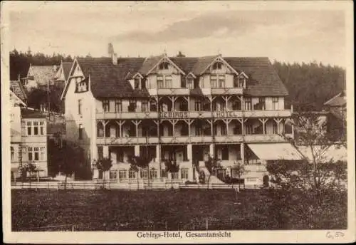 Ak Hahnenklee Bockswiese Goslar im Harz, Gebirgshotel