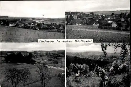 Ak Schöneberg im Westerwald, Panorama, Gesamtansicht