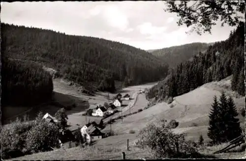 Ak Dürrenwaid Silberstein Geroldsgrün Oberfranken, Blick von der Sommerhaide, Panorama