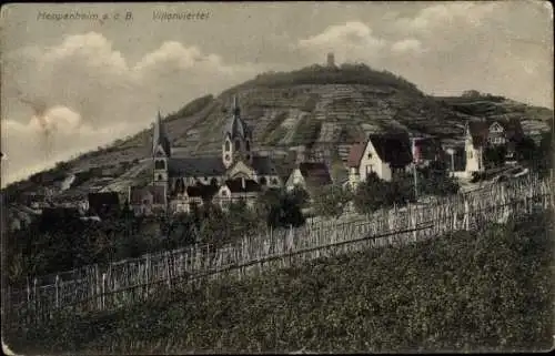 Ak Heppenheim a.d. Bergstraße, Blick auf das Villenviertel, Felder