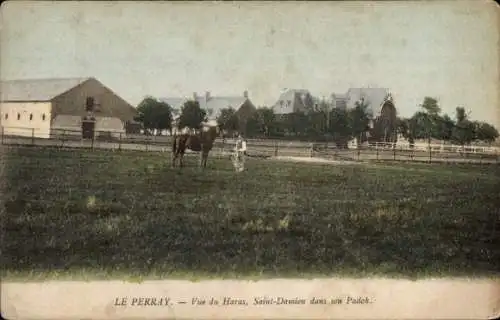 Ak Le Perray und les Yvelines, Blick auf das Gestüt, Saint Damien in seinem Padok