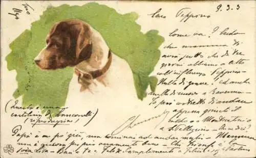 Litho Hund, Gemaltes Porträt