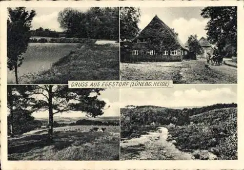 Ak Egestorf in der Lüneburger Heide, Panorama, Kühe