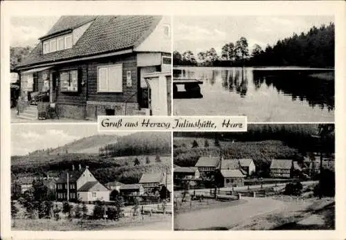 Ak Herzog Juliushütte Astfeld Langelsheim am Harz, Teilansicht, See, Gemischtwaren