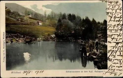 Ak Bad Wildbad im Schwarzwald, Kgl. Anlagen, Schwanensee