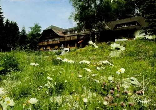 Ak Todtmoos im Schwarzwald, Haus Lichtquell, Margeriten