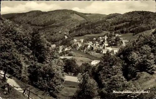 Ak Messinghausen Brilon im Sauerland, Panorama