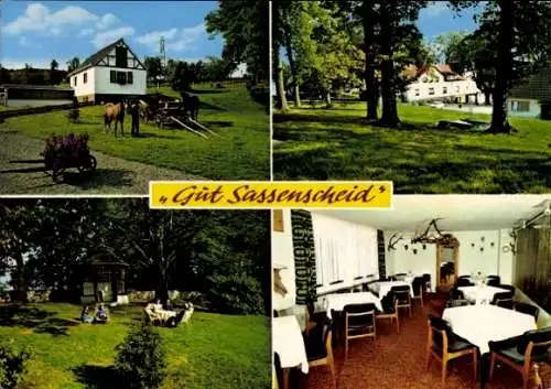 Ak Nachrodt Wiblingwerde im Sauerland, Gut Sassenscheid, Garten, Terrasse, Fachwerkhaus, Pferde