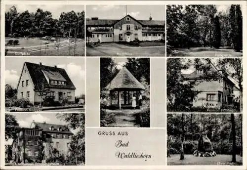 Ak Bad Waldliesborn Lippstadt in Westfalen, Golfplatz, Badehaus, Park, Pension Knegger, Vogelhaus