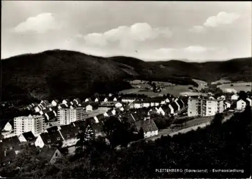 Ak Plettenberg im Sauerland Westfalen, Eschensiedlung