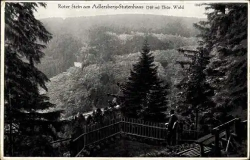 Ak Suhl in Thüringen, Roter Stein am Adlersberg Stutenhaus, Waldlandschaft