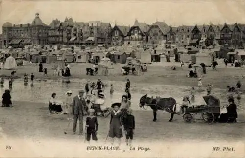 Ak Berck Plage Pas de Calais, Strand, Esel, Badegäste