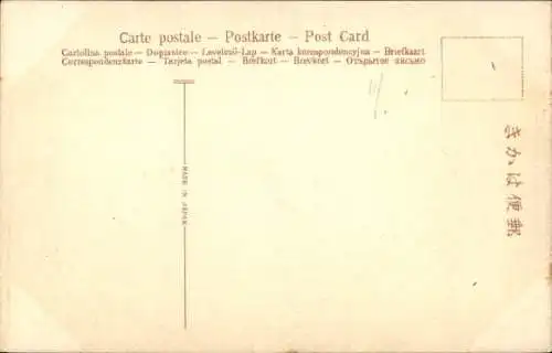 Ak Japan, Bergspitze, Bäume, See